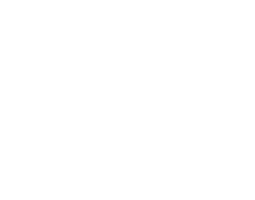 Aaliya Lounge Logo